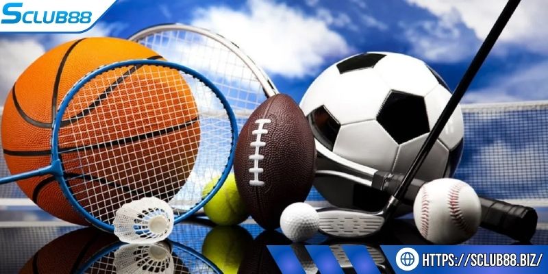Cách tham gia cá cược trong sảnh thể thao Sclub88 Cách tham gia cá cược trong sảnh thể thao Sclub88