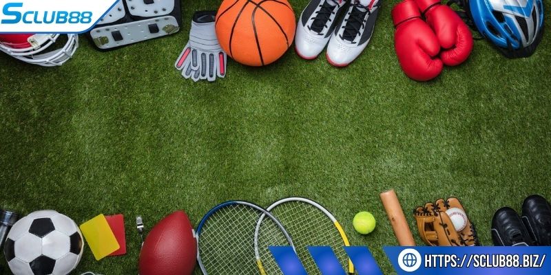 Trải nghiệm đa dạng môn chơi tại thể thao Sclub88 Trải nghiệm đa dạng môn chơi tại thể thao Sclub88